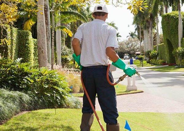 About King William VA Pest Control